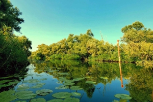 Nationalpark Skadar-See: Umweltfreundliches Kajak-Abenteuer