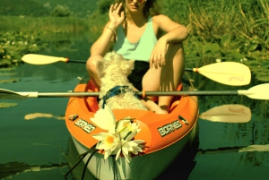 Nationalpark Skadar-See: Umweltfreundliches Kajak-Abenteuer