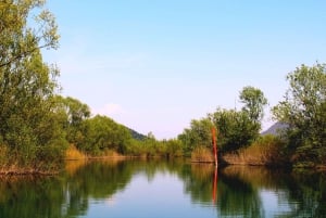 Nationalpark Skadarsee: Private Bootstour im Holzboot & Wein