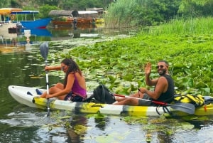 Skadar Lake: Self-Guided Bird Tour & Kayak Rental
