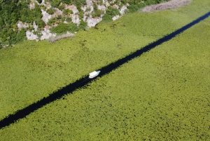Skadar Lake: Self-Guided Bird Tour & Kayak Rental