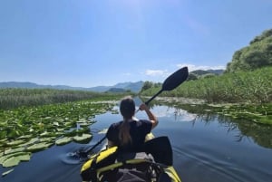 Skadar Lake: Self-Guided Bird Tour & Kayak Rental