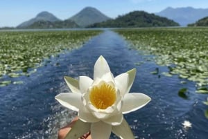 Skadar Lake Sightseeing: Explore Montenegro's National Park