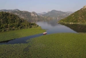 Skadar Lake Sightseeing: Explore Montenegro's National Park