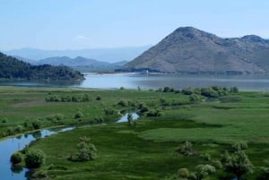 Skadar Lake Sightseeing: Explore Montenegro's National Park