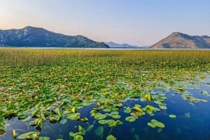 Skadar Lake Sightseeing: Explore Montenegro's National Park