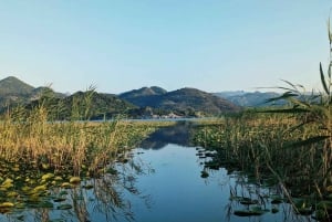 Skadar Lake Sightseeing: Explore Montenegro's National Park