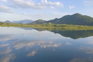 Skadar Lake Sightseeing: Explore Montenegro's National Park