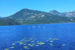 Skadar Lake Sightseeing: Explore Montenegro's National Park