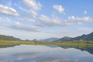 Skadar Lake Sightseeing: Explore Montenegro's National Park