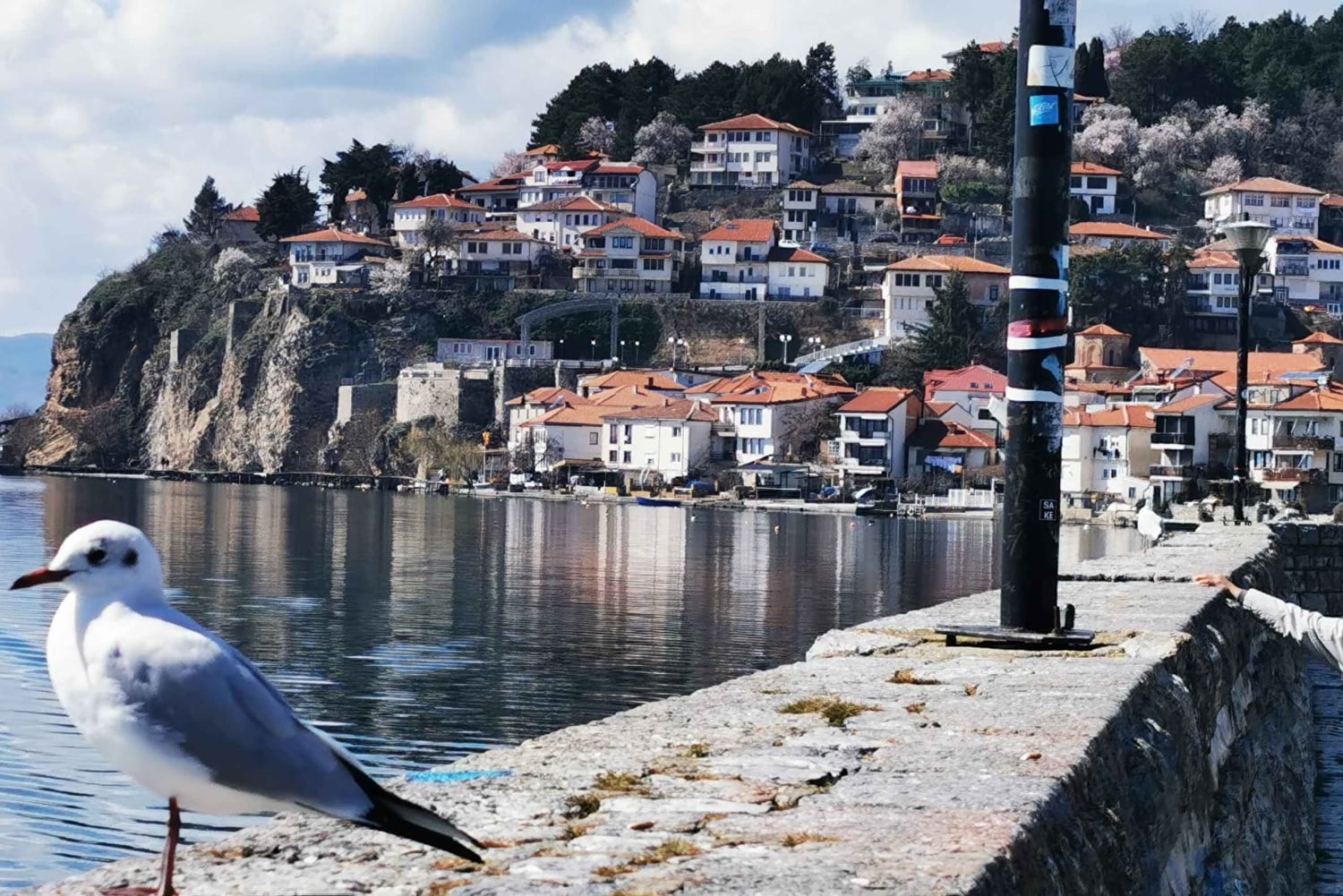 Skopje: Transfer do Tirany i półdniowa wycieczka do Ochrydy