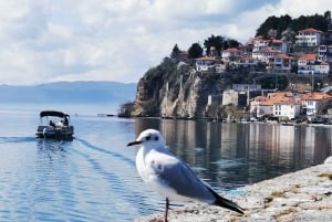 Skopje: Transfer till Tirana med halvdagsutflykt till Ohrid