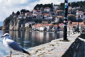 Skopje: Transfer do Tirany i półdniowa wycieczka do Ochrydy