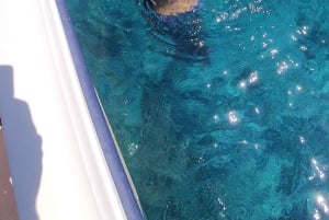 Snorkla till de exotiska öarna Ksamil och Pigeon Cave