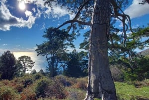 South Albania: 8-Day 360˚ Adventure Tour with Local Guide
