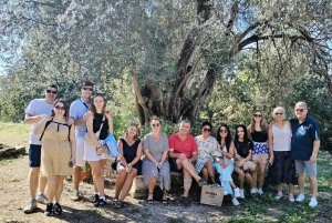 Tour de un día: Ojo Azul, Gjirokaster, puente otomano y Lekursi