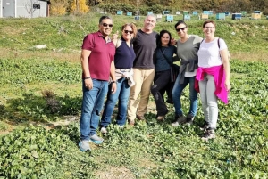 Tour de un día: Ojo Azul, Gjirokaster, puente otomano y Lekursi