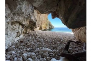 Speed Boat Tour to National Park and Grama Bay