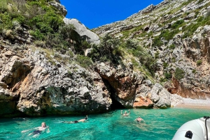 Speed Boat Tour to National Park and Grama Bay