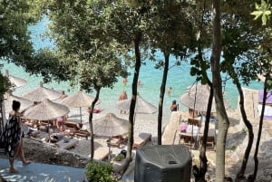 Vlorë: Excursión de un día en lancha rápida a la isla de Sazan y la cueva de Haxhi Ali