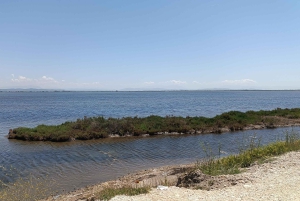 The Albanian Fall Postcard