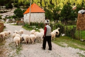 Theth and Blue Eye Day Tour from Shkodra