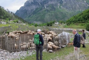 Tirana: 8-Day Agri-Tourism and Farm Life Tour