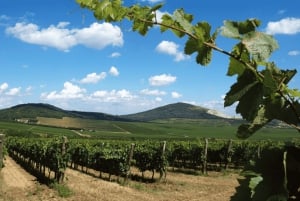 Tirana Airport: Private Transfer to Top Albania Destinations