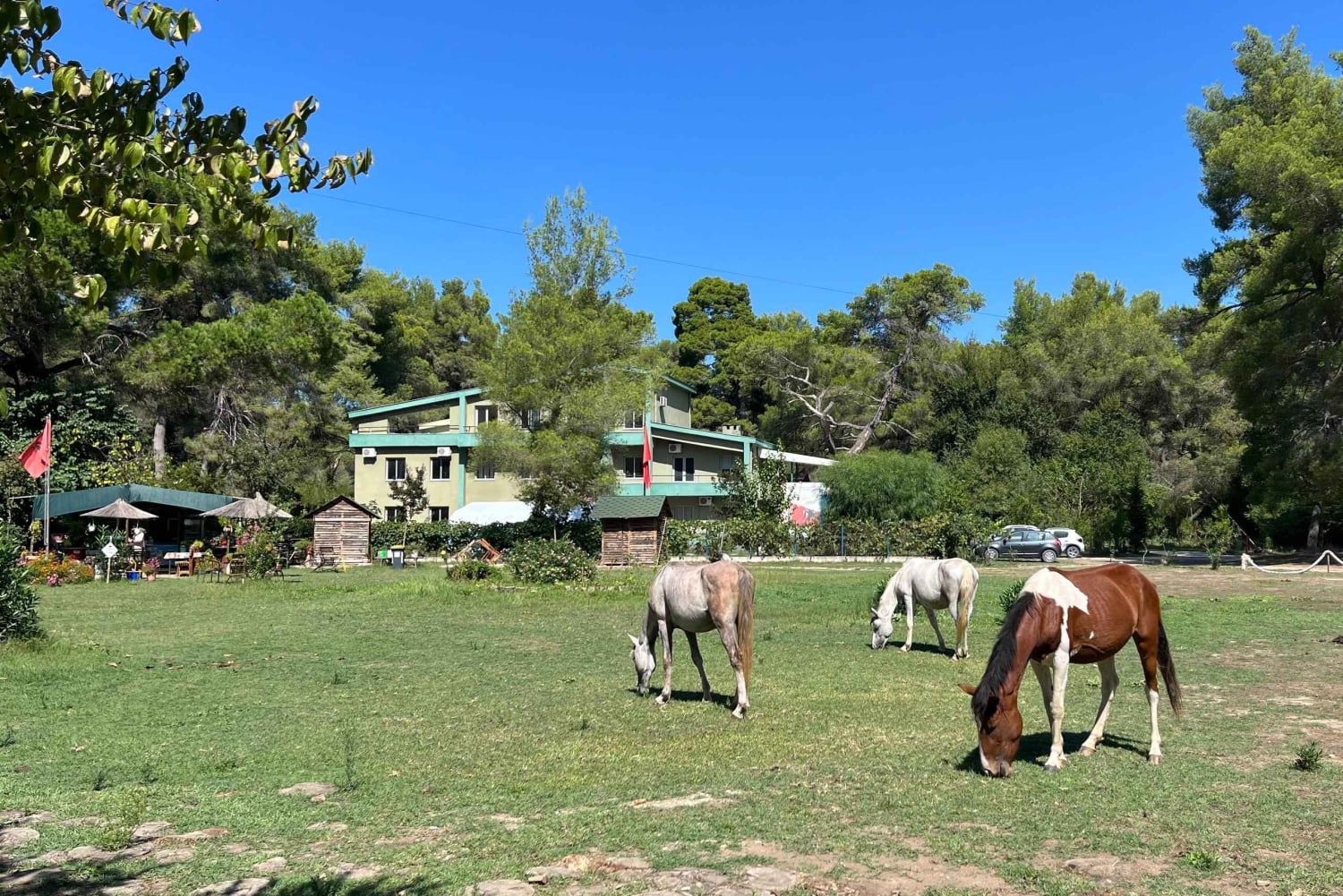 Tirana: Apollonia og Karavasta-lagunen – dagstur med frokost