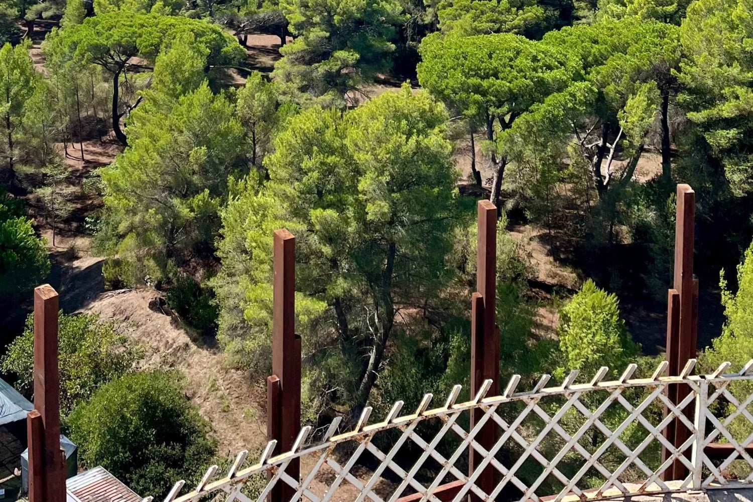 Tirana: Apollonia og Karavasta-lagunen – dagstur med frokost