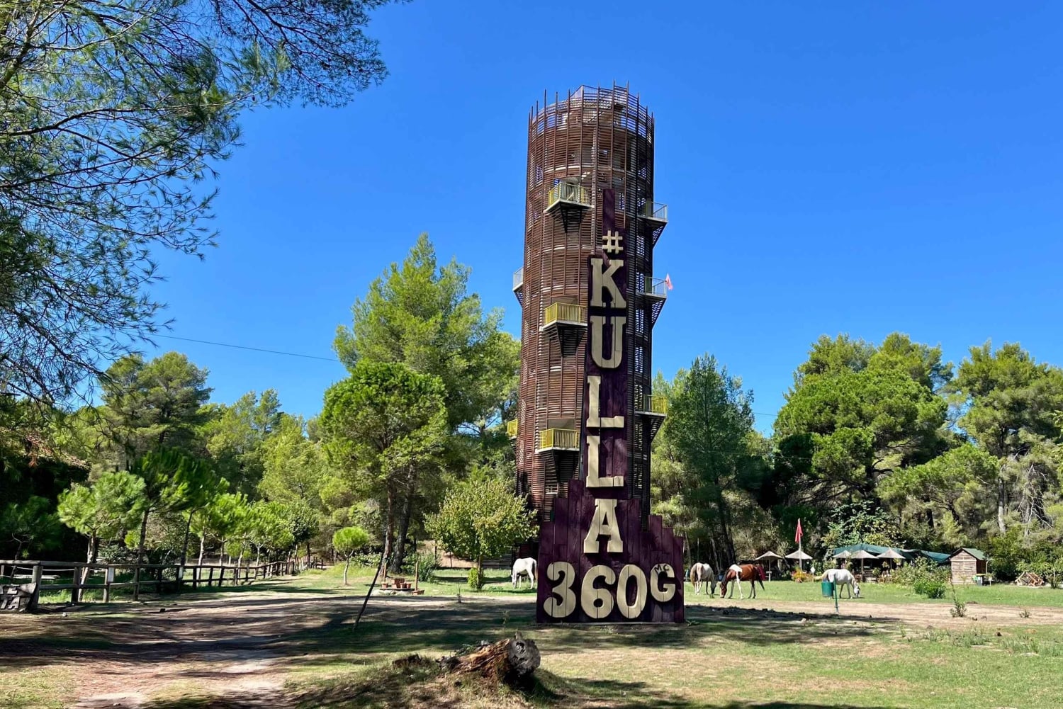 Tirana: Apollonia og Karavasta-lagunen – dagstur med frokost