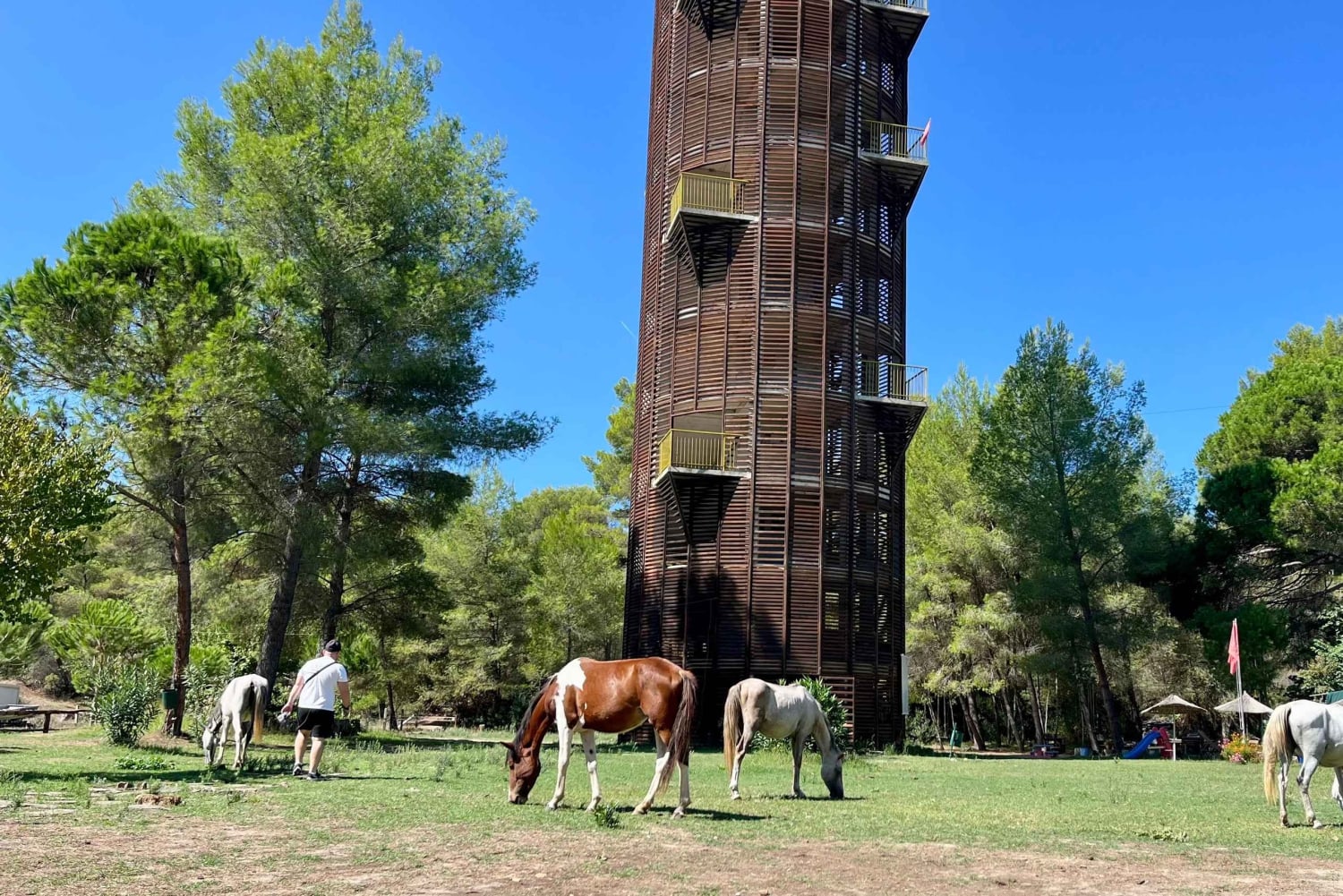 Tirana: Apollonia og Karavasta-lagunen – dagstur med frokost