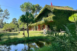 ティラナ発：アポロニア＆カラヴァスタラグーン日帰りツアー（昼食付き）