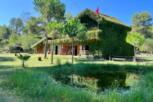 ティラナ発：アポロニア＆カラヴァスタラグーン日帰りツアー（昼食付き）