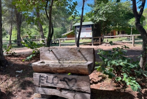 ティラナ発：アポロニア＆カラヴァスタラグーン日帰りツアー（昼食付き）