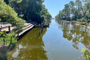 ティラナ発：アポロニア＆カラヴァスタラグーン日帰りツアー（昼食付き）