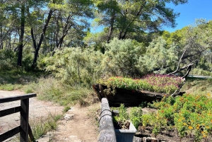 ティラナ発：アポロニア＆カラヴァスタラグーン日帰りツアー（昼食付き）
