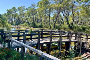 ティラナ発：アポロニア＆カラヴァスタラグーン日帰りツアー（昼食付き）