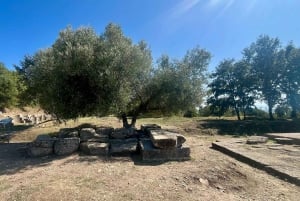 Tirana: Apollonia og Karavasta-lagunen – dagstur med frokost