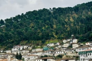 Berat Castle, Old town & Alpeta wine taste, traditional food