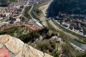 Berat Castle, Old town & Alpeta wine taste, traditional food