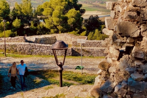 Berat Castle, Old town & Alpeta wine taste, traditional food