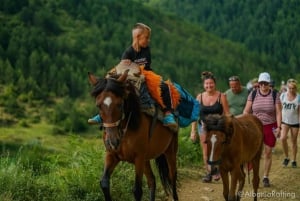 Albania: Berat Mules Caravan & Off Road Mount Tomorissa