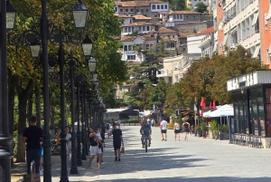 Tirana: Passeio privado de um dia a Berat com guia certificado