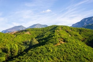 Tirana: Escursione di mezza giornata sul monte Dajti con biglietto della funivia