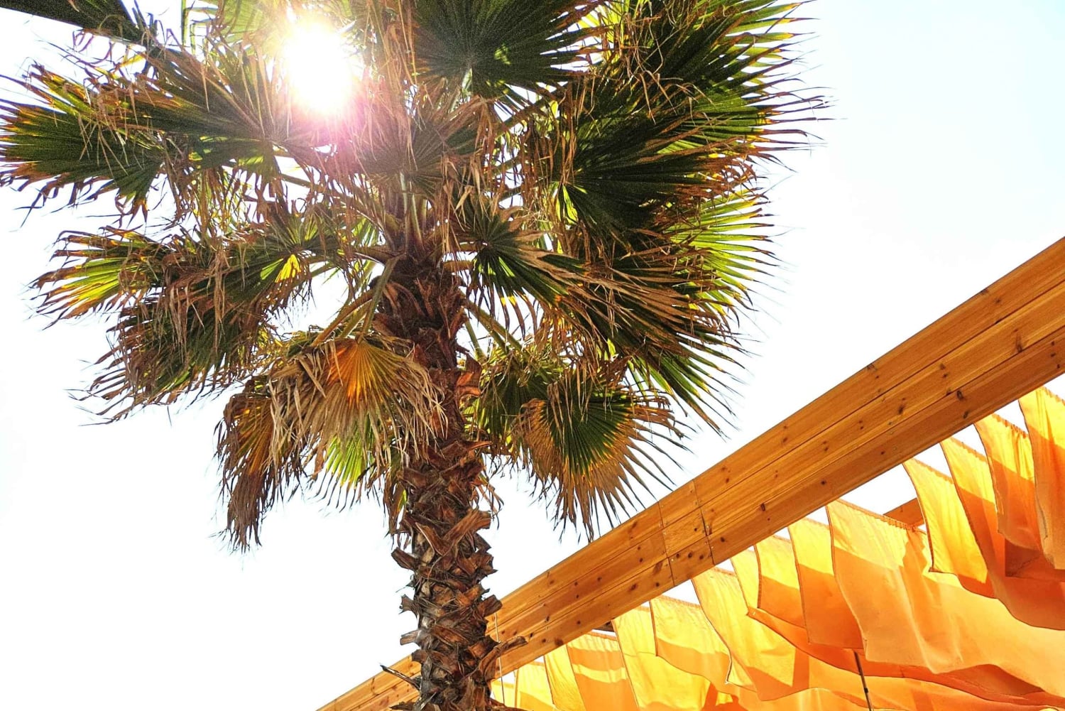 Tirana: wycieczka z przewodnikiem po plaży i kulturze Durrës