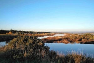 Tirana / Durrës: UNESCO-byen Berat og Karavasta Nationalpark