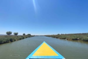 Tirana / Durrës: UNESCO-byen Berat og Karavasta Nationalpark