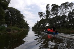 Tirana / Durrës: UNESCO-byen Berat og Karavasta Nationalpark
