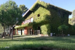 Tirana / Durrës: UNESCO-byen Berat og Karavasta Nationalpark